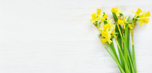 Ostern, Frühling, Narzissen, Osterglocken, auf Holz, Banner, Header, Headline, Panorama, Textraum,...