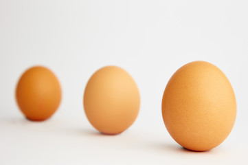chicken eggs