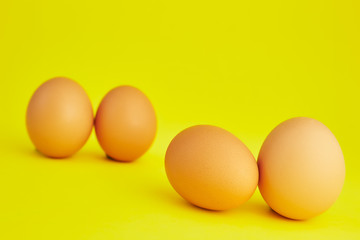 chicken eggs