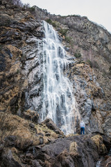 Obraz premium pisse vache