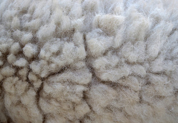 Brown fleece fur pattern texture for background