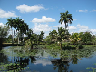 Fototapeta na wymiar beautiful cuban tropical background