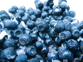 frozen blueberries isolated on white with ice 