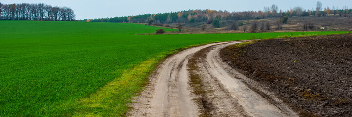 Fototapeta na wymiar dirt road between a plowed field and a field of winter wheat in hilly terrain.