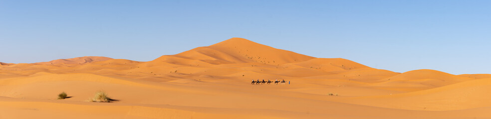 Fototapeta na wymiar Panorama des dunes de Merzouga au Maroc