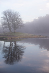 Lonely island and trees with fallen leaves, reflected in the glass surface of the lake, shrouded in morning fog
