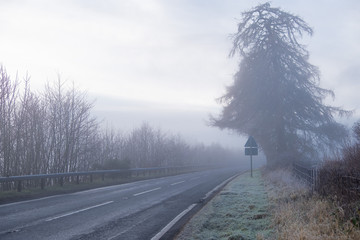 Foggy country road in hoarfrost