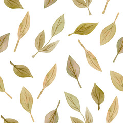 Seamless Pattern of hand drawn watercolor delicate flowers and leaves. Design for wedding invitation, fabric, packaging, textile, cover, postcard, paper, greeting cards, blog. Green cute wildflowers.