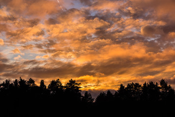 cloudy colorful sunset above forest