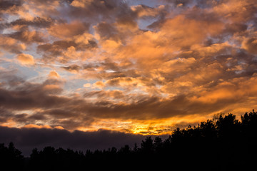 cloudy colorful sunset above forest