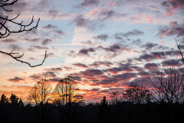 Obraz premium cloudy colorful sunset above forest