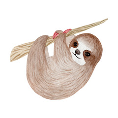 Watercolor cute sloth on the palm tree. Tropical animal. Clipart isolated on white background. Hand painted illustration: nursery design, poster, greeting, birthday card, baby shower, party. Lazy baby