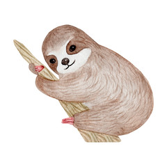 Watercolor cute sloth on the palm tree. Tropical animal. Clipart isolated on white background. Hand painted illustration: nursery design, poster, greeting, birthday card, baby shower, party. Lazy baby