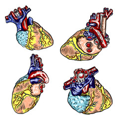 Set of Human heart anatomically hand drawn. Cartoonish flash tattoo design engraving. Vector.