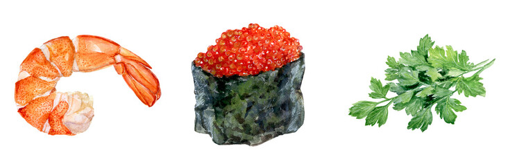 Watercolor hand drawn parsley, shrimp, sushi caviar.