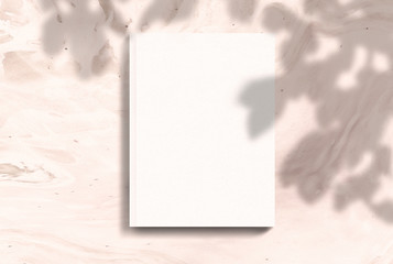 scene, stationery mock up for social media  with shadow. Background with sunlight