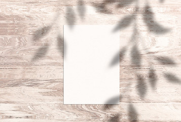 scene, stationery mock up for social media  with shadow. Background with sunlight