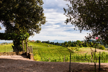 Weinberge in der Toskanalandschaft  des Chianti Classico zwischen Florenz und Siena.