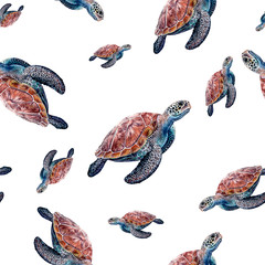 Watercolor hand drawn sea turtle isolated seamless pattern. © cosmicanna