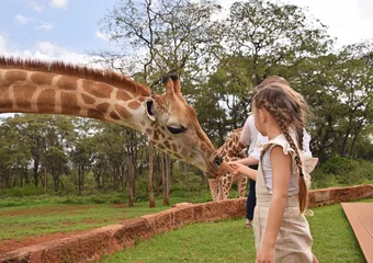 Foto op Canvas girl feeding giraffe © Anabel