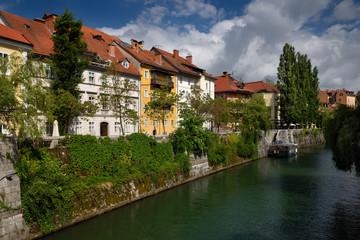 Fototapeta na wymiar Historic houses on the ivy covered Hribar Quay embankment of the Ljubljanica river canal waterway in the old town of Ljubjlana Slovenia