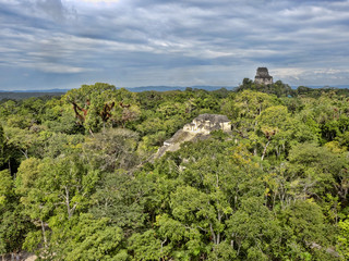 Fototapeta na wymiar A view from a pyramid height hidden in a dense forest. Nation's most significant Mayan city of Tikal Park, Guatemala