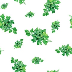 Watercolor hand drawn parsley spices isolated seamless pattern.