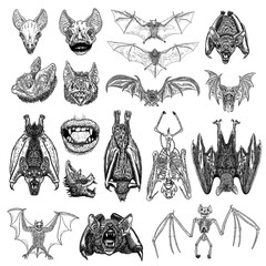Fototapeta na wymiar Large set of bats and vampires. Human lips with fangs, skeleton, bat skull and aggressive face or head. Open wings flying gothic monsters. Ink line engraving sketch in black. Vector.