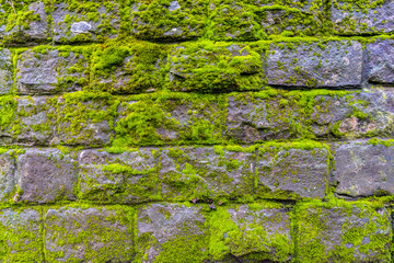 Green moss covered brick stone wall background texture