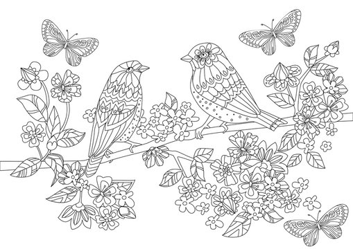 lovely birds on branch of flowering cherry for your coloring boo