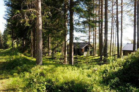 In der Wald von Kvarnsjon