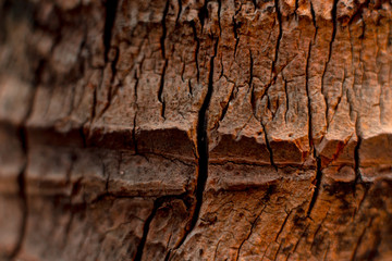 Abstract colored background close up. Macro.