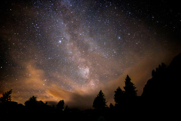 Starry nigjt on the mountains with the Milky Way and pine trees