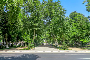 Fototapeta na wymiar Samarkand University Boulevard Park 05