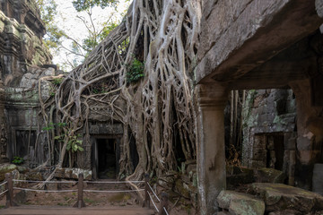 Angkor Wat, Cambodian Temple