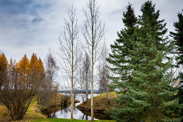Fototapeta na wymiar Nature à Rovaniemi en Laponie Finlandaise