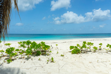 Traumhaft schöner Strand Karibik - Carribbean Beach