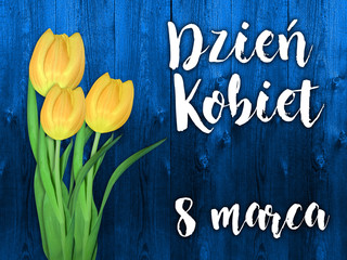 Women's day card with the Polish words DAY OF WOMEN. Flower. Tulip on a white wooden background. - obrazy, fototapety, plakaty