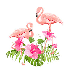 The tropical background. Summer illustration with bouquet of green palm leaves and red hibiscus flowers. Illustration with colorful flamingo on white background. Vector illustration.