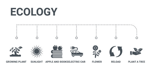 simple set of 7 icons such as plant a tree, reload, flower, electric car, apple and books, sunlight, growing plant from ecology concept on white background