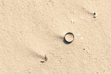 Fototapeta na wymiar Beautiful close up photo of a flipped beer cup lying in a sandy path.