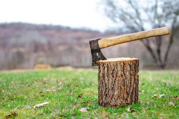 Wooden hand ax with iron blade stabbed into the stump
