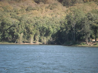 water, lake, trees, nature, scenary, sunny