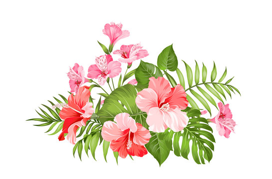 Exotic flowers bouquet of color bud garland. Label with hibiscus flowers. Bouquet of aromatic tropical flowers. Invitation card template with color flowers of alstroemeria. Vector illustration.