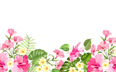 Fototapeta na wymiar Summer vacation card. Tropical flowers of plumeria and hibiscus at the label. Tropical palm branches with text space on the top of the image. Vector illustration.