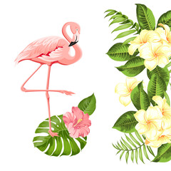 Floral exotic natural decoration. Safary summer background with Tropical leaves silhouette, blooming plumeria flowers, and flamingo birds. Vector illustration.