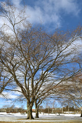 Park on embankment in early spring. Helsinki, Finland