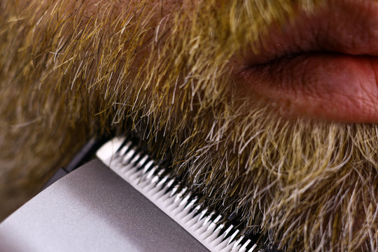 Beard shaving with electric beard-shaving machine. Grey mixed reddish beard and the metal surface of the beard-shaving machine. The process of beard-shaving captured from the near view.