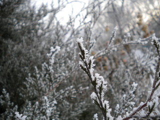 Winter in Bishkek