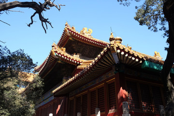 Fototapeta premium Tiled roof and facade decorated with a Chinese pattern. Palace in The Forbidden City, Beijing, China.
